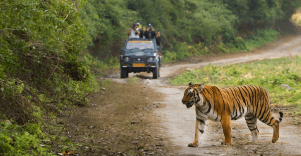 Jim Corbett National Park | Ramnagar